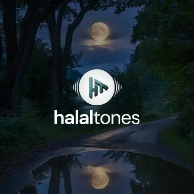 164. Your Path Vocals